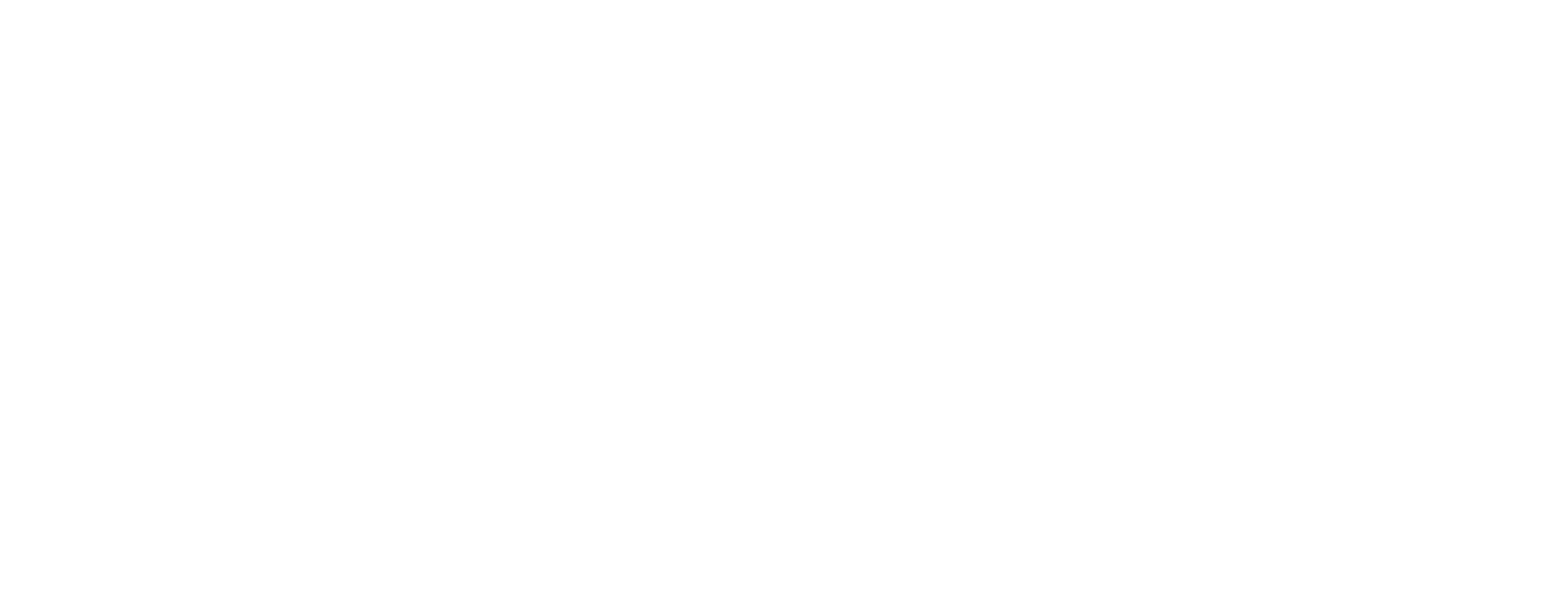 ProExakt Group Logo06_26_weiß_nsi