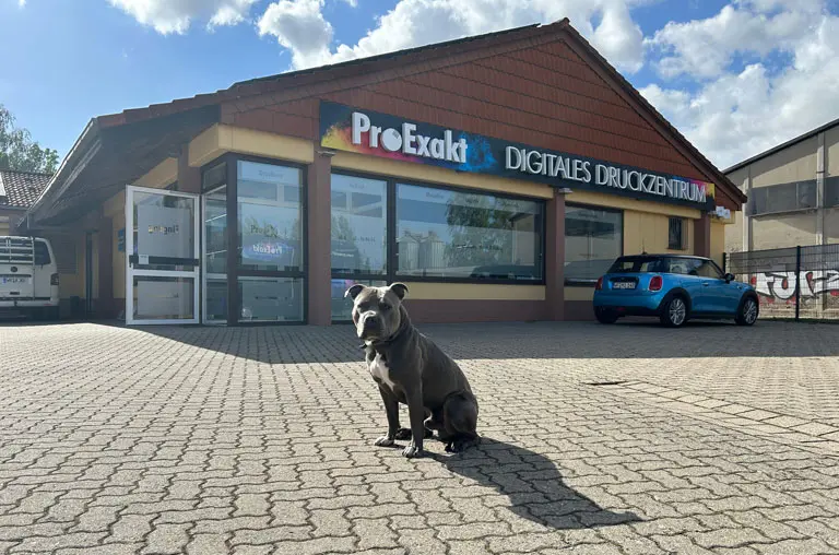 ProExakt, Multimediaunternehmen, Blog, Schöppenstedt, Puki, Wachhund, Familienhund